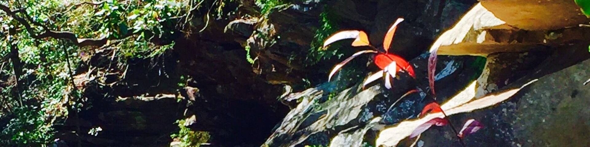 Top of Falling Water falls. Short walking trail in with a slight decent. Very low water, but the creek leading into the falls is still fantastic.