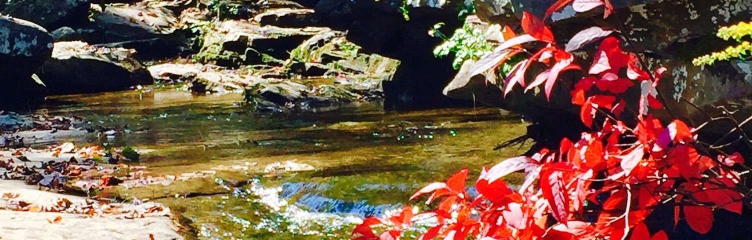 Top of Falling Water falls. Short walking trail in with a slight decent. Very low water, but the creek leading into the falls is still fantastic.