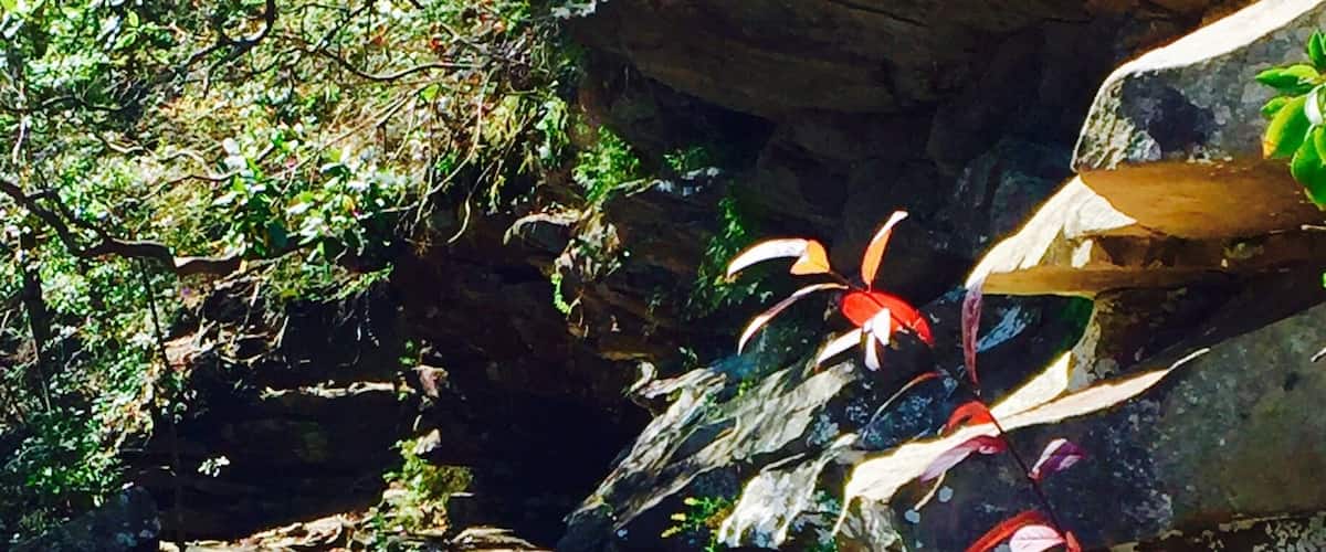 A clear stream with red foliage and rocky terrain.