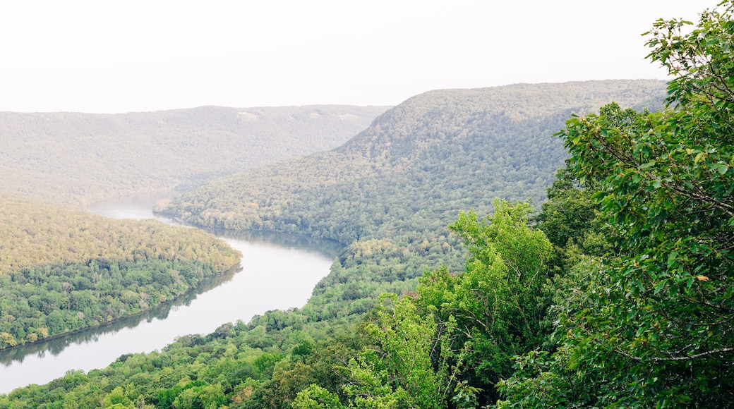 ซิกแนลเมาน์เทน