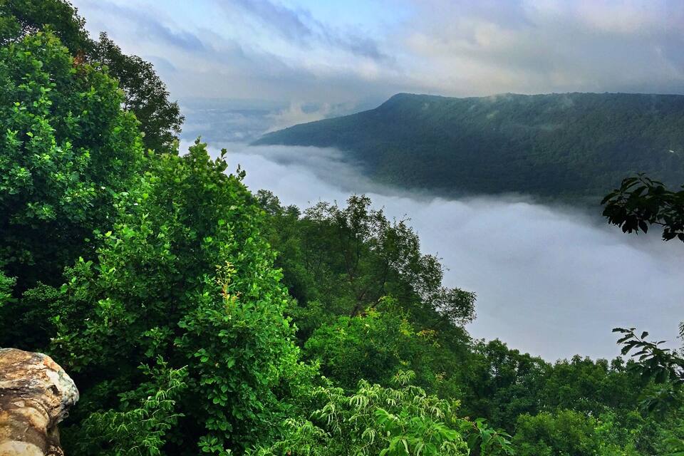Un exuberante valle verde con follaje denso y una cordillera cubierta de niebla.