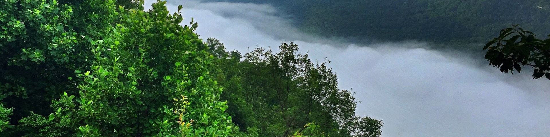 River of Clouds. Tennessee River Gorge.