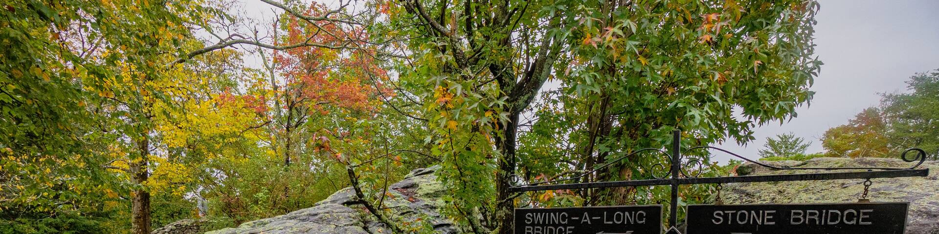 autumn in the forest of Chattanooga