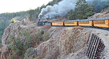 Train making its way from Silverton back to Durango. There are some really special scenic parts along the way.
#Trovember