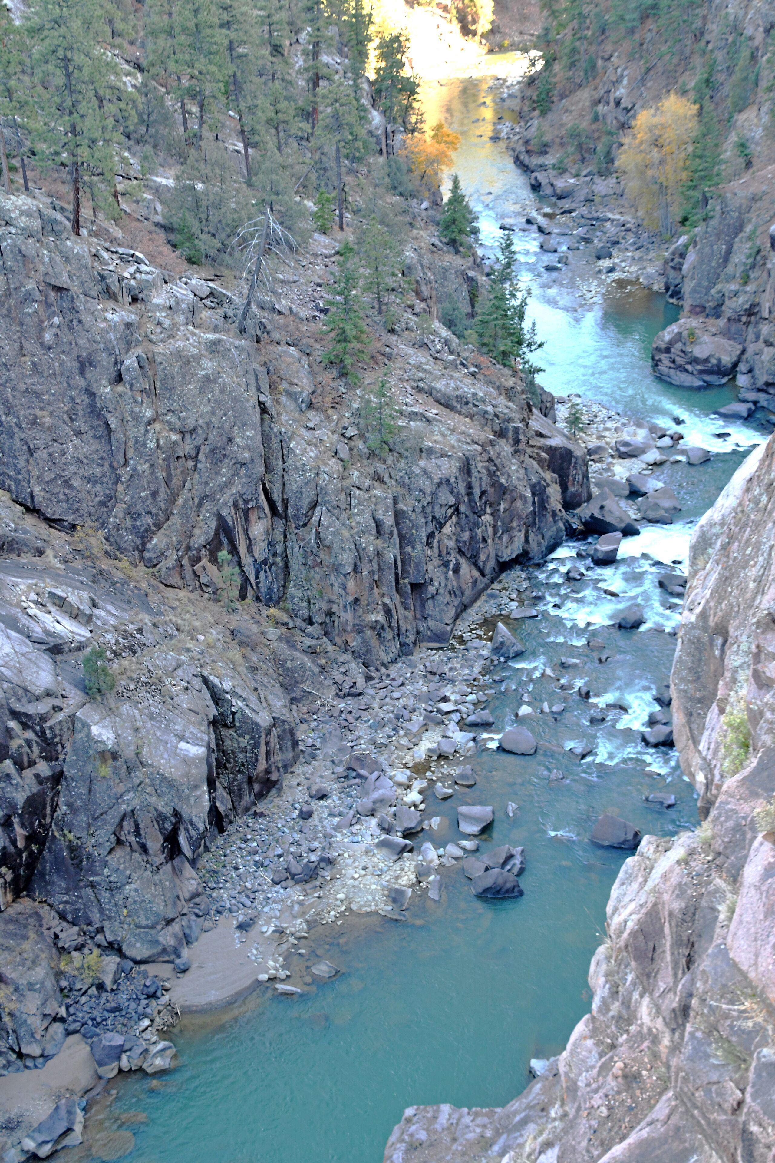 Train making its way from Silverton back to Durango. There are some really special scenic parts along the way.

#Trovember