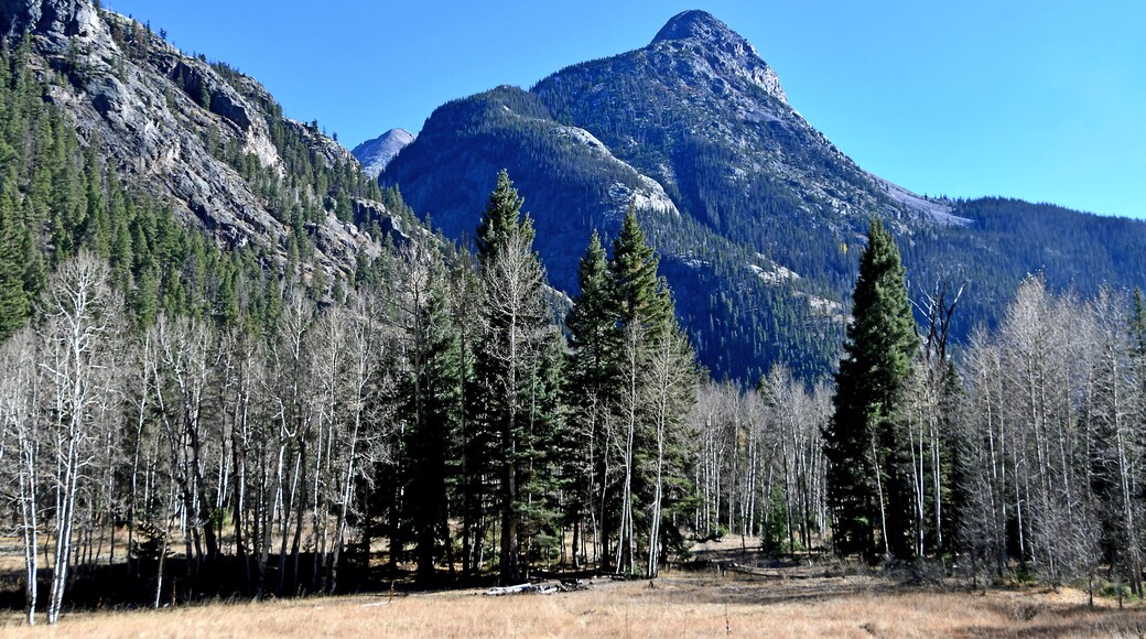 Train making its way from Silverton back to Durango. There are some really special scenic parts along the way.
#Trovember