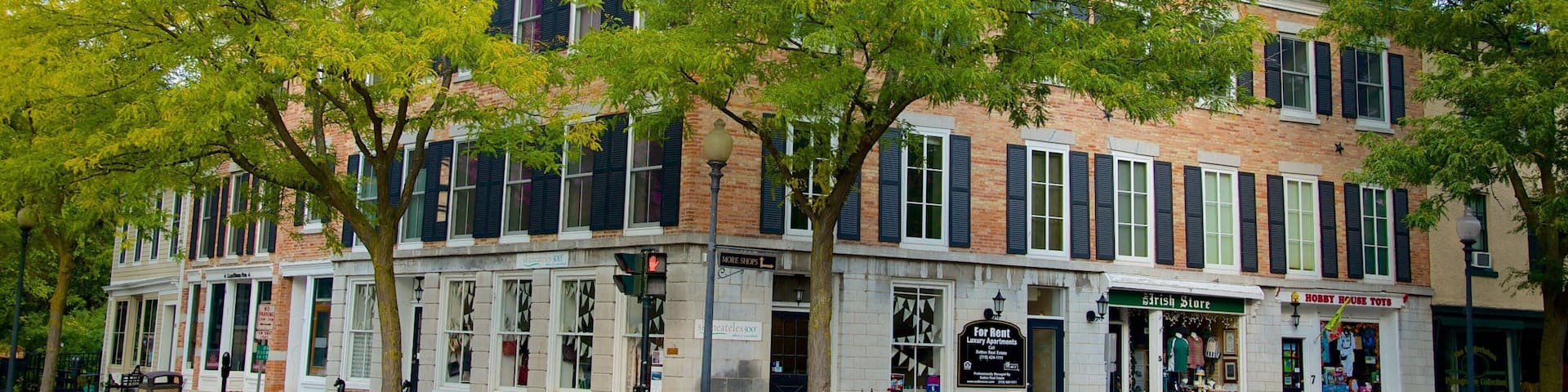 Skaneateles showing a city