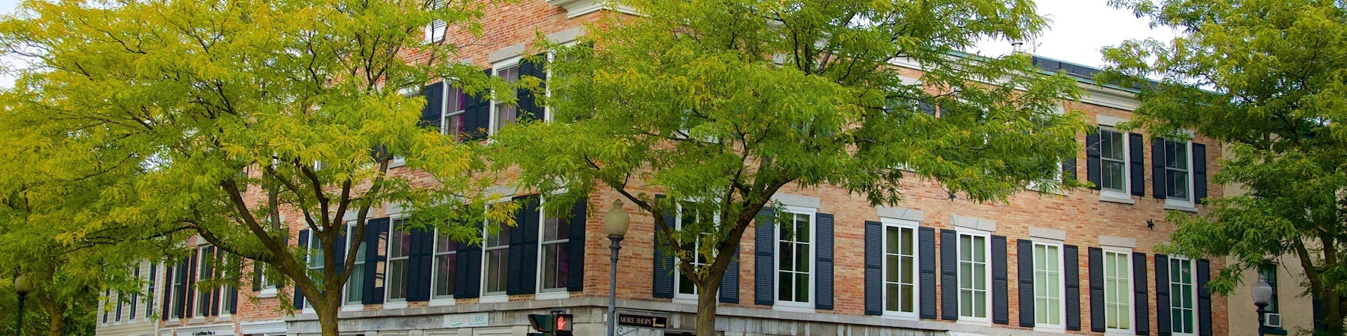 Skaneateles showing a city