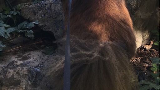 Take a swim #takeahike