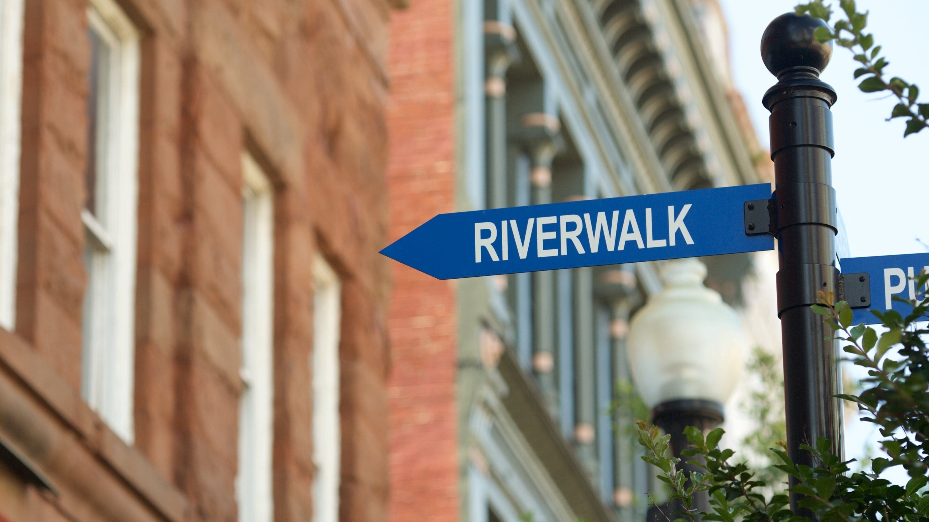 Wilmington featuring signage