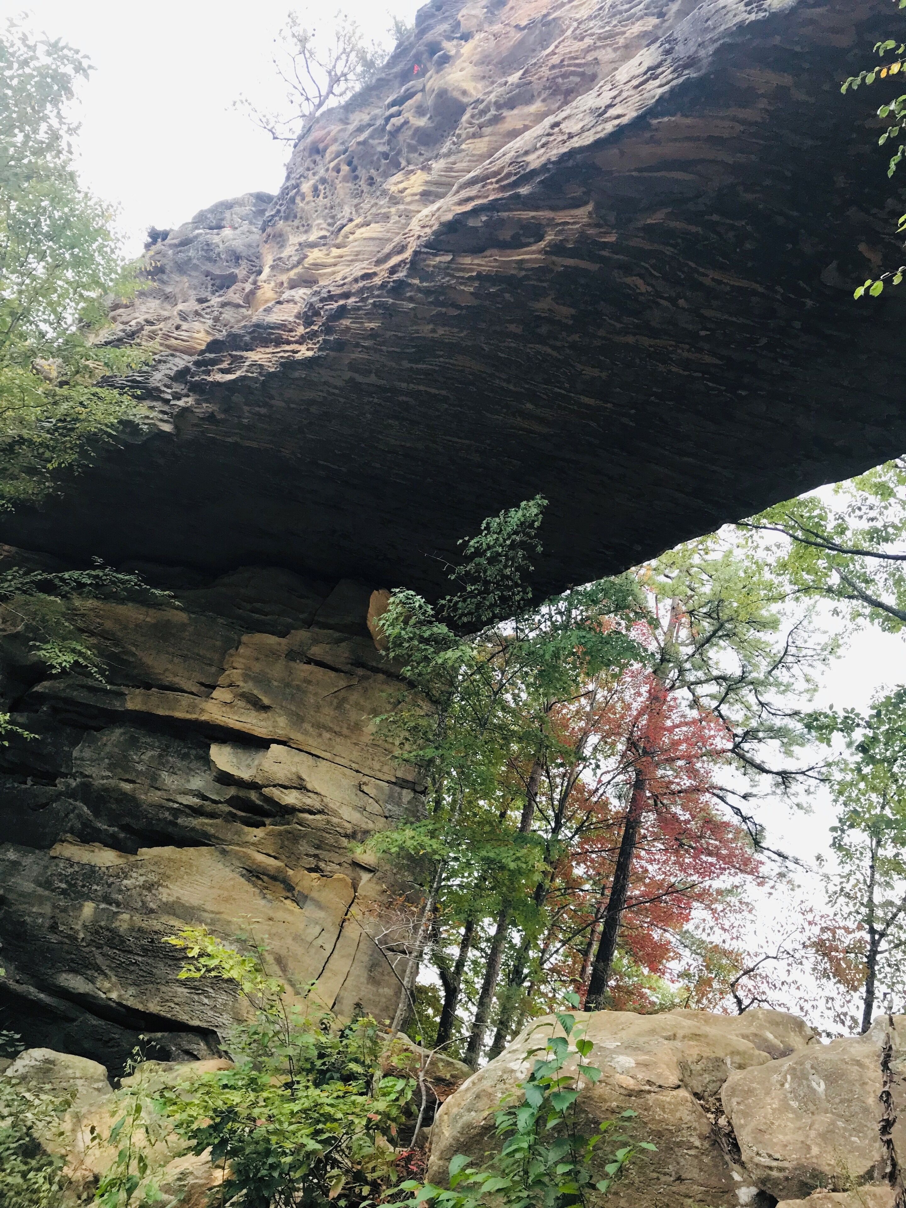 Coming back with updates for first time under the bridge five years ago I choose to take different trails what’s only let me going above the top and was very steep but this time for somehow I ended up choosing this trail leading me baby here woho