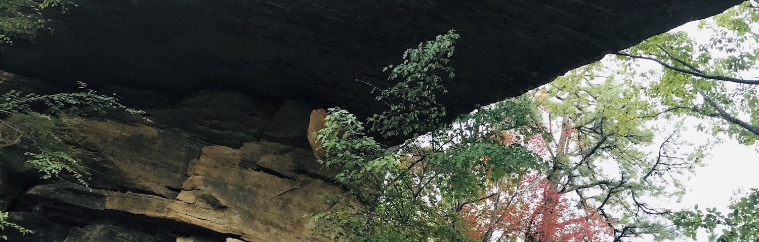 Coming back with updates for first time under the bridge five years ago I choose to take different trails what’s only let me going above the top and was very steep but this time for somehow I ended up choosing this trail leading me baby here woho