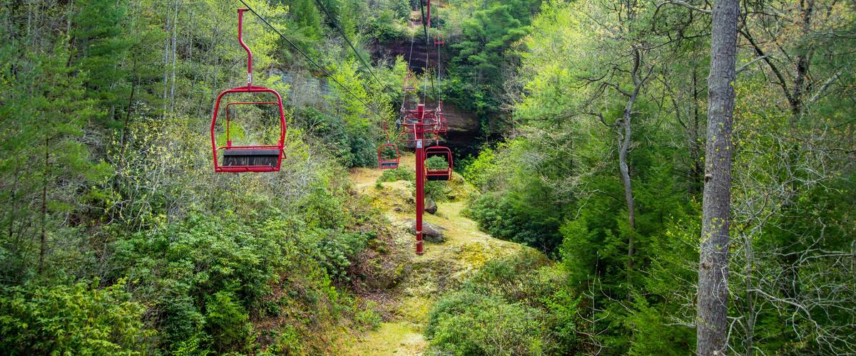 A forested area with a red cable car system.
