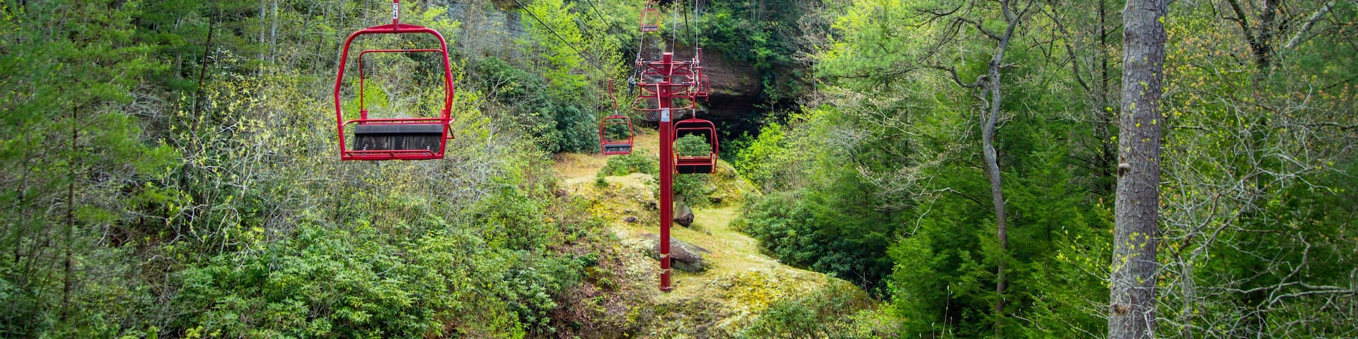 A forested area with a red cable car system.