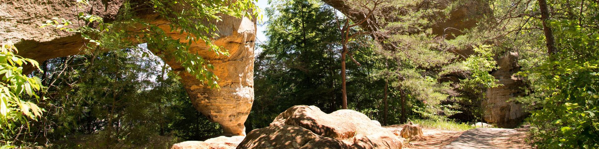 Sky Bridge is a sandstone arch in the Red River Gorge geological area.