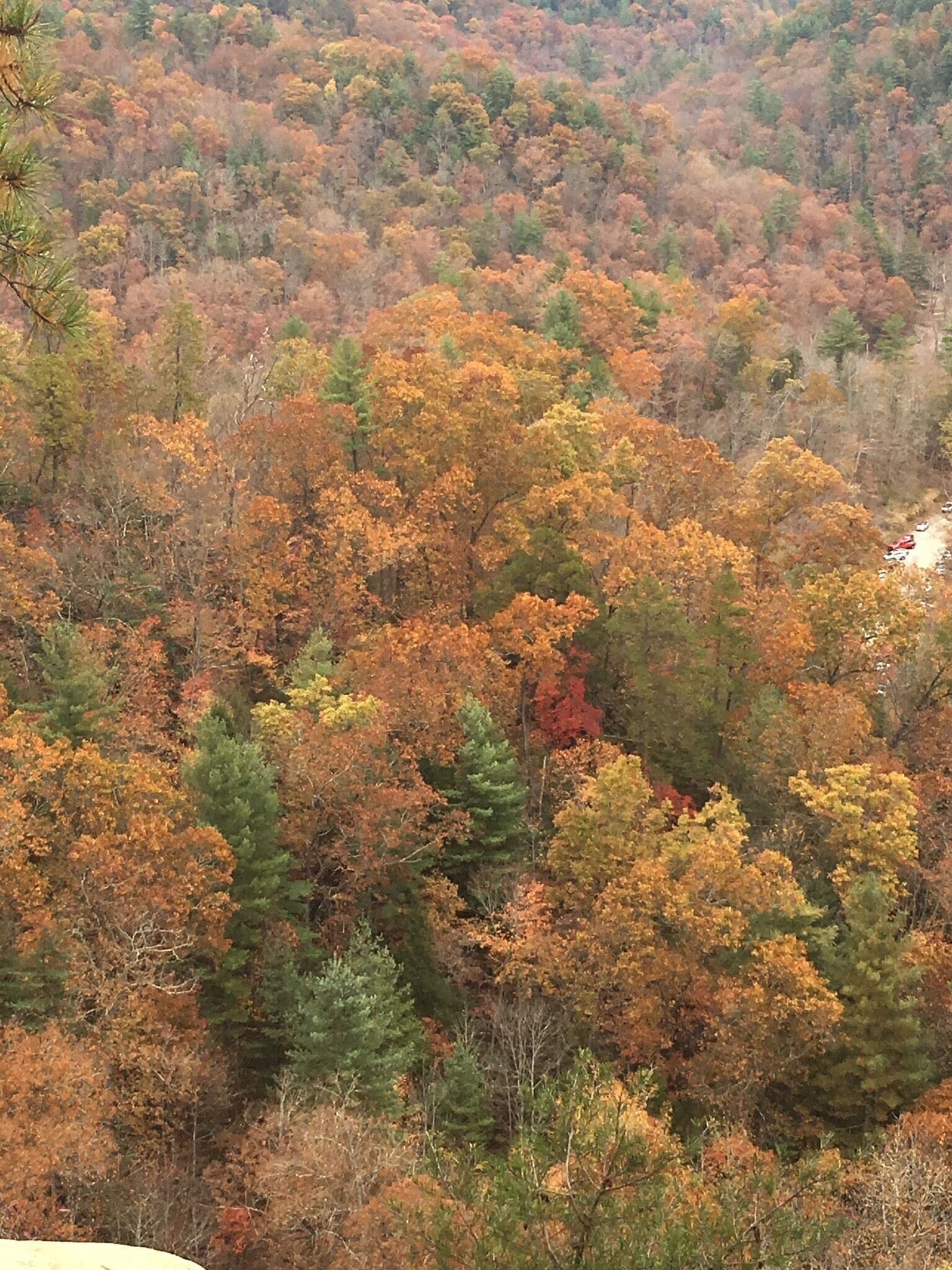 Fall at Natural Bridge, KY
