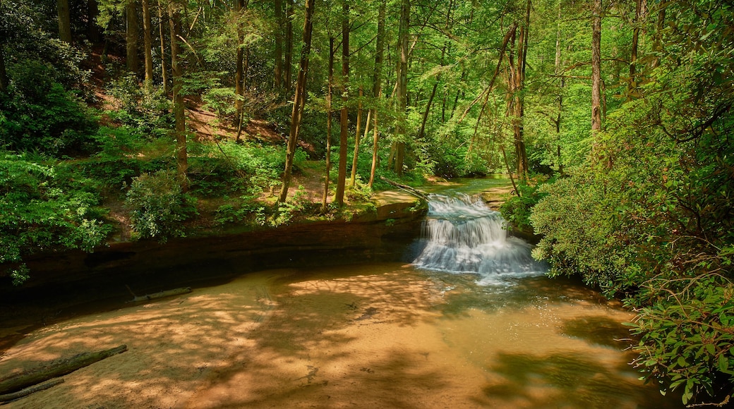 Creation Falls, Red River Gorge KY