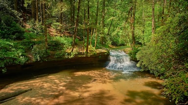 Creation Falls, Red River Gorge KY