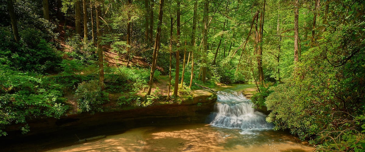 Creation Falls, Red River Gorge KY