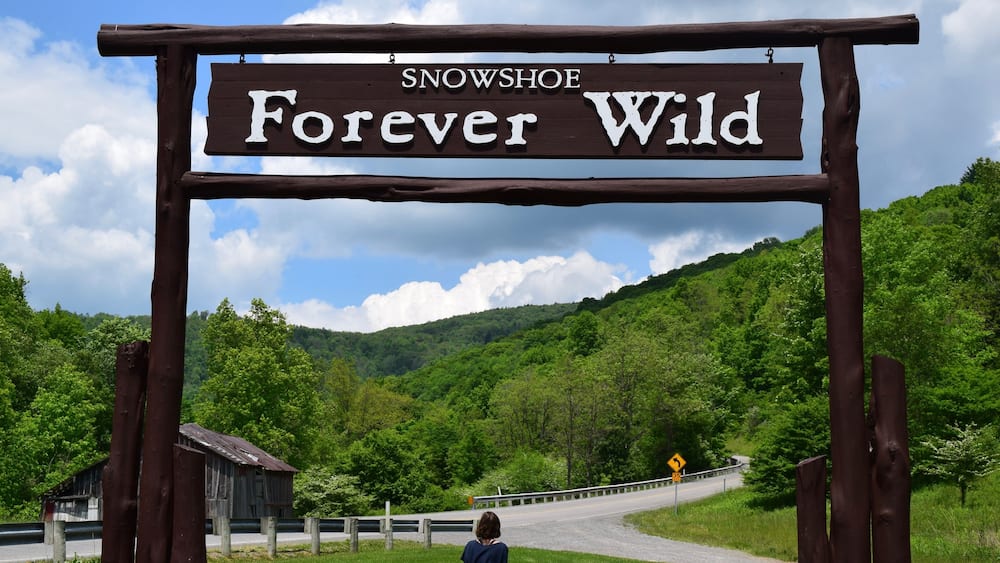 Un panneau en bois sur lequel on peut lire « SNOWSHOE Forever Wild », avec une personne assise au premier plan, une route qui tourne vers la droite et une colline boisée en arrière-plan.