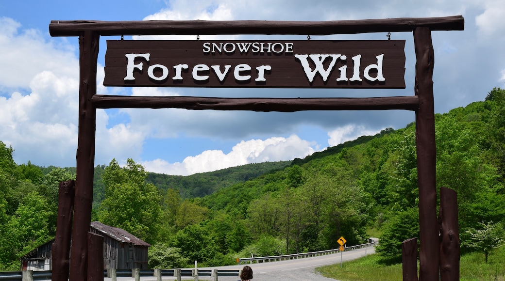 West Virginia in the Summer