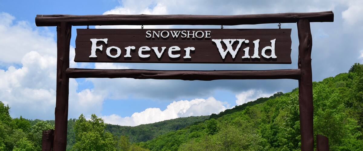 A wooden sign reading 'SNOWSHOE Forever Wild' with a person sitting in the foreground, a road curving to the right, and a forested hill in the background.