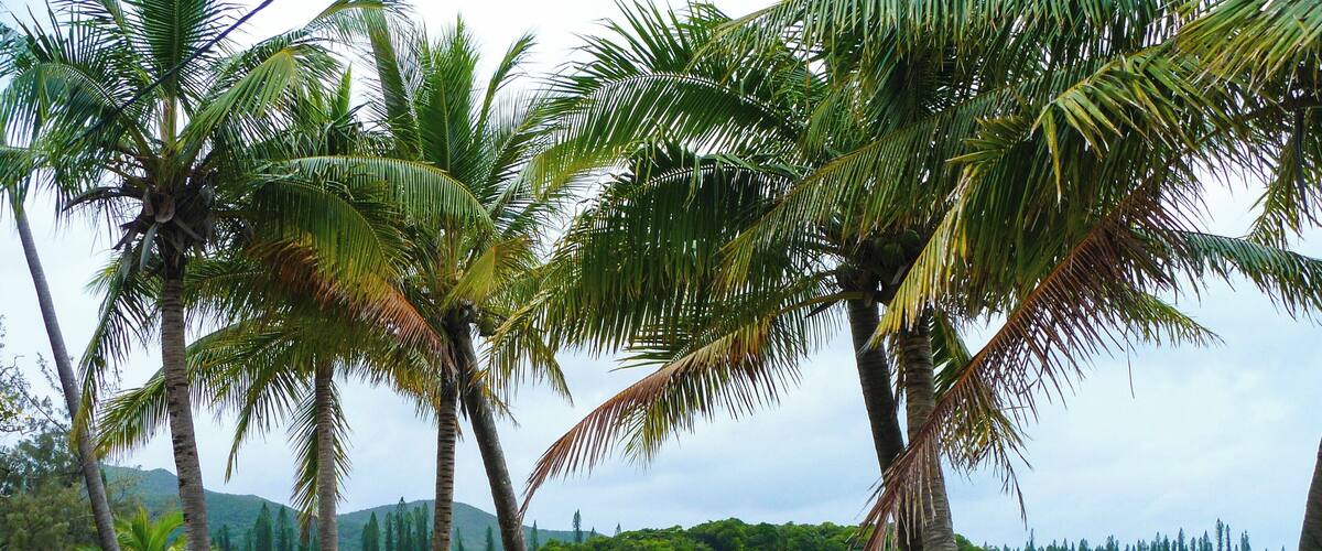 Don't forget to bring your snorkeling gear to snorkel in the crystal clear waters around the island.
#lifeatexpedia #beaches