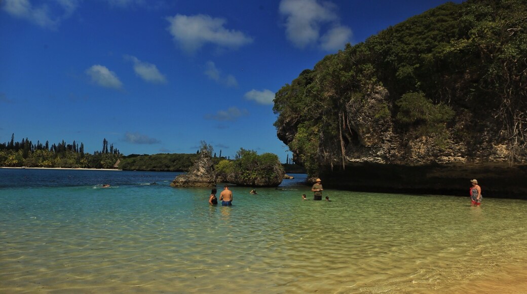 One day of this beauty was not enough ❤️ Isle of pines I'll be back one day , dream place for a wedding ✨✨🌟✨✨