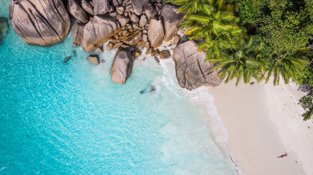Tropical beach with sea and palm taken from drone. Seychelles famous shark beach - aerial photo; Shutterstock ID 428018086; Purchase Order: -