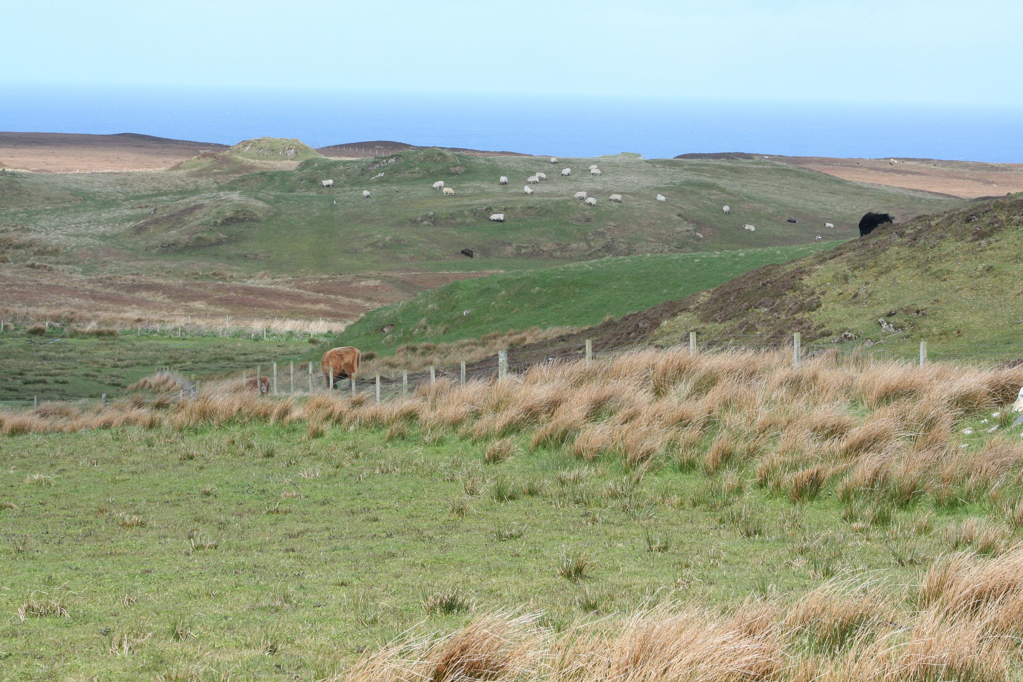 Blick vom Parkplatz des RSPB nature reserve The Oa auf die Landschaft des Schutzgebiets.