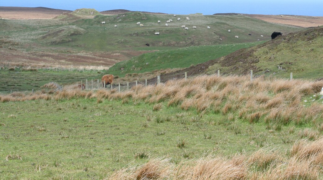 Blick vom Parkplatz des RSPB nature reserve The Oa auf die Landschaft des Schutzgebiets.