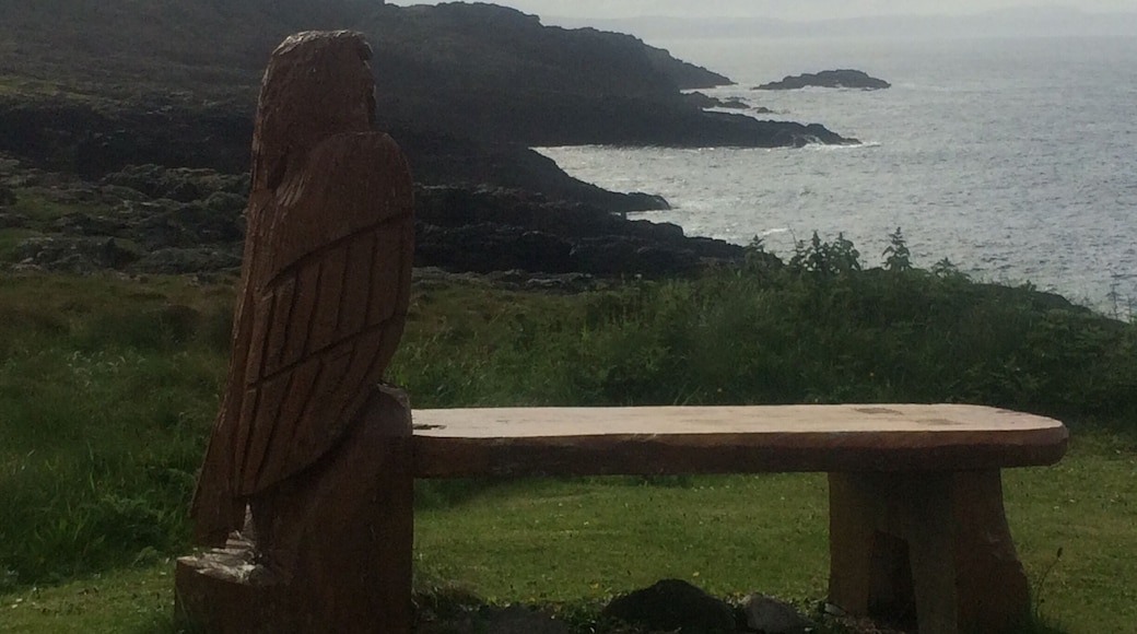 Looking out to the water