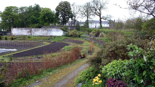 Blick in den Islay House Community Garden bei Bridgend.