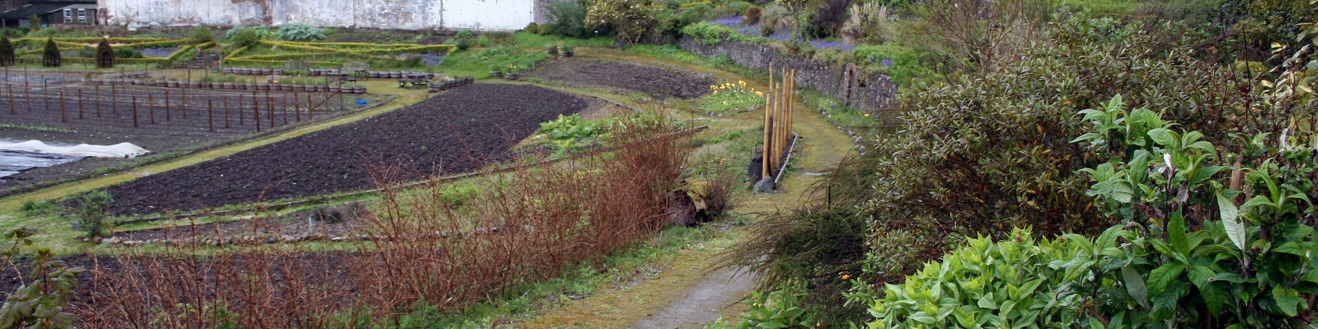 Blick in den Islay House Community Garden bei Bridgend.