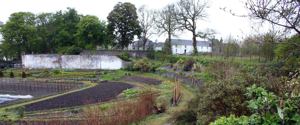 A garden with a winding path, various plants, and a white building in the background.