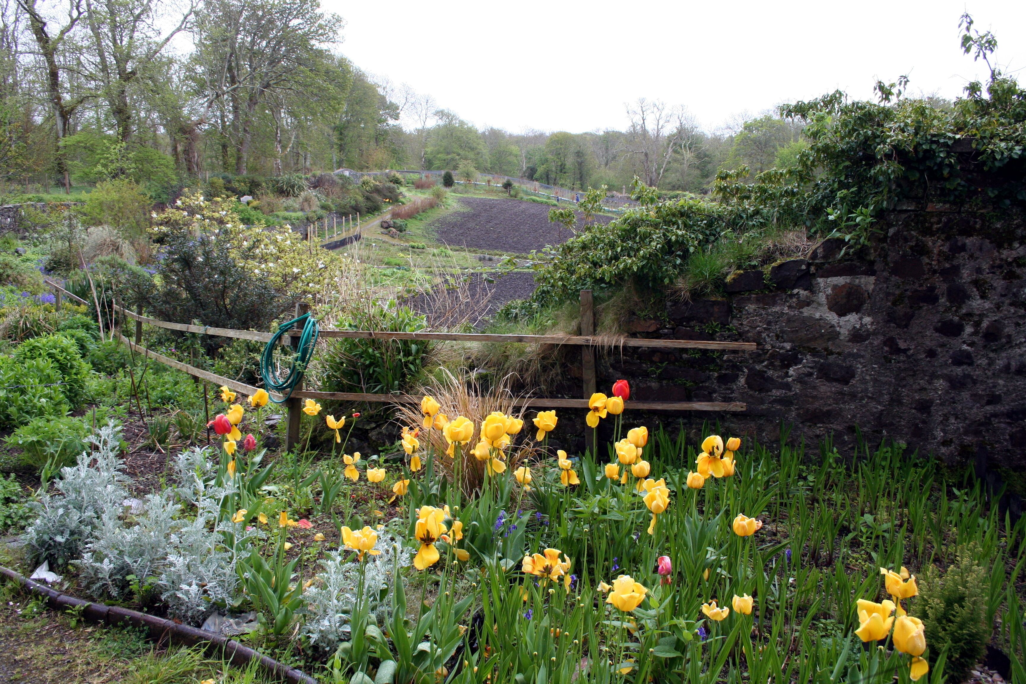 Blick in den Islay House Community Garden bei Bridgend.