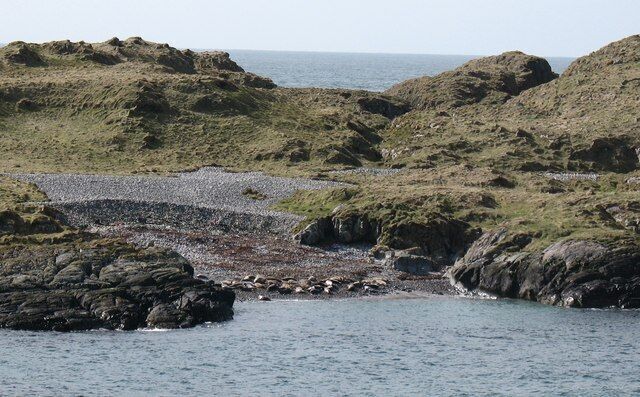 Seals on the beach. Most likely these are Atlantic Grey Seals taking a rest on the beach of Port Garbh on the small offshore island of Eilean Mhic Coinnich.