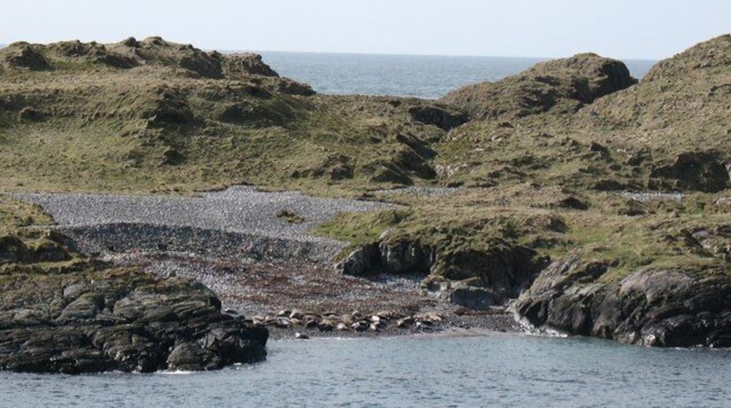 Seals on the beach. Most likely these are Atlantic Grey Seals taking a rest on the beach of Port Garbh on the small offshore island of Eilean Mhic Coinnich.