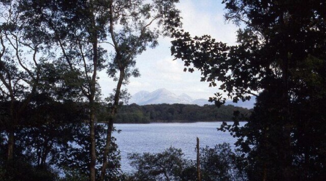 Loch Ballygrant. View to the north east, taken from the woods that surround the Loch
