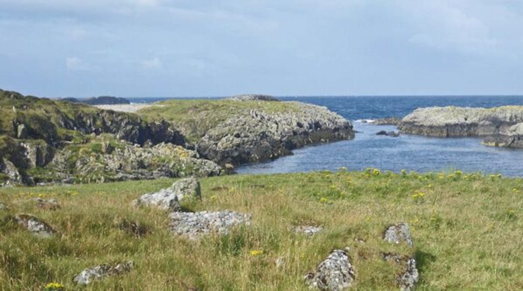 Cove with gannets on southwest Islay Not readily visible in the image are gannets sighted at the time of the photograph. Hooded crows were also observed in this locale.