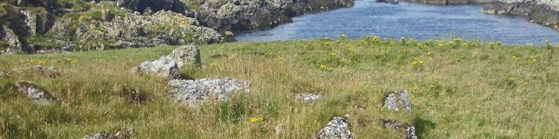 Cove with gannets on southwest Islay Not readily visible in the image are gannets sighted at the time of the photograph. Hooded crows were also observed in this locale.