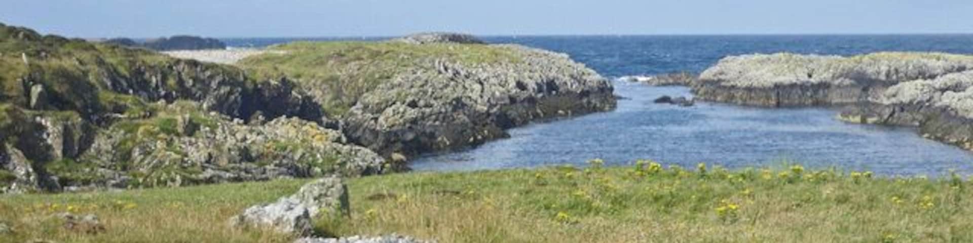 Cove with gannets on southwest Islay Not readily visible in the image are gannets sighted at the time of the photograph. Hooded crows were also observed in this locale.