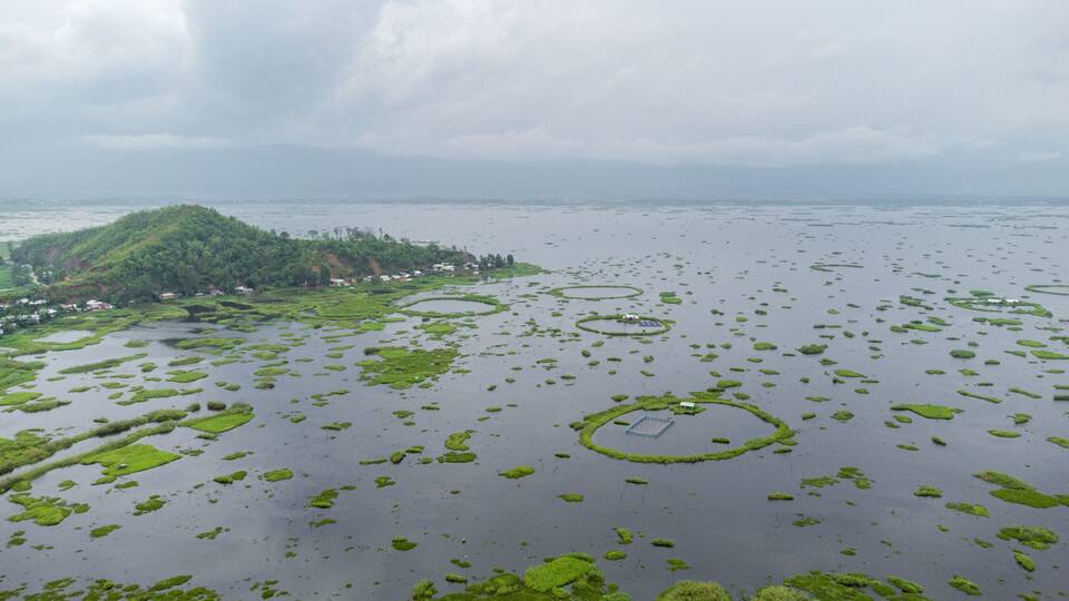 A coastal landscape with a small island, green vegetation, and circular water formations.