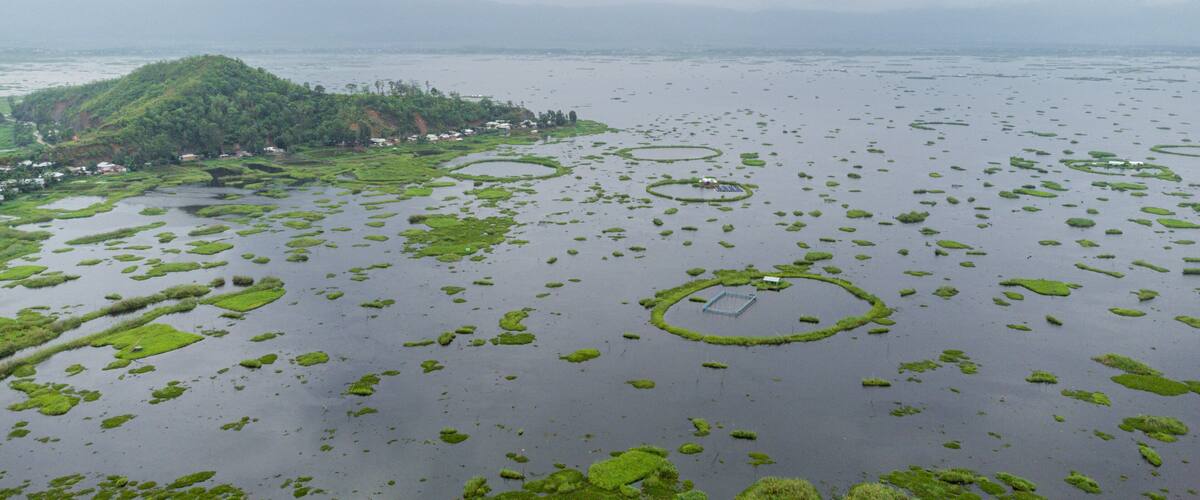 A coastal landscape with a small island, green vegetation, and circular water formations.