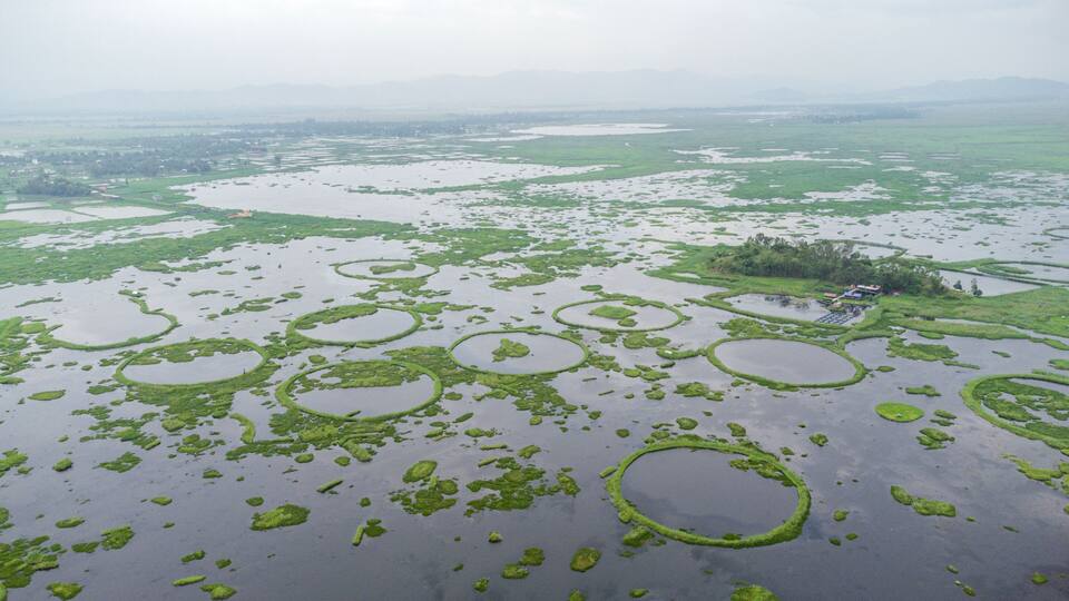 A vast wetland with numerous circular ponds surrounded by green vegetation.