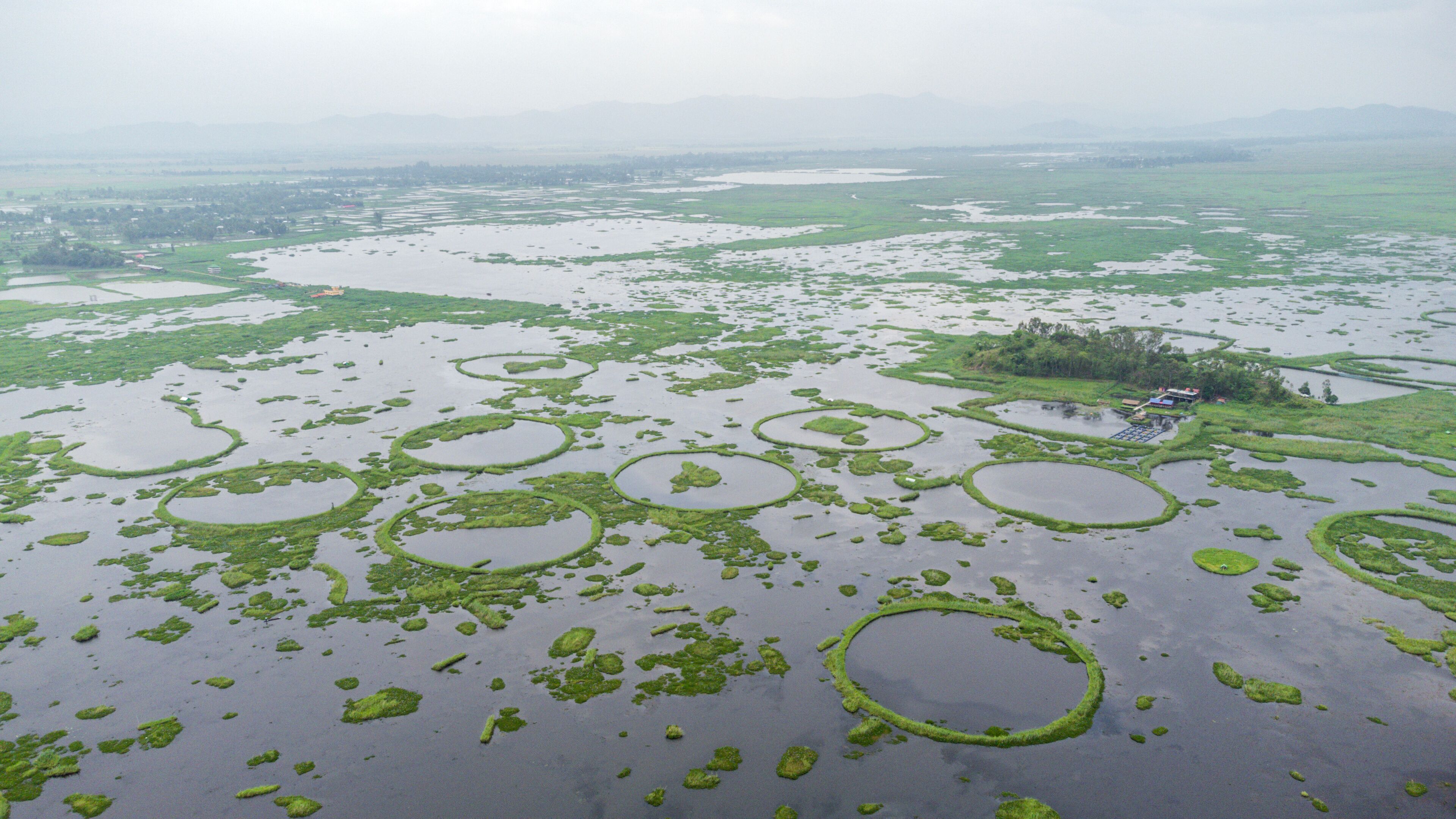 A vast wetland with numerous circular ponds surrounded by green vegetation.
