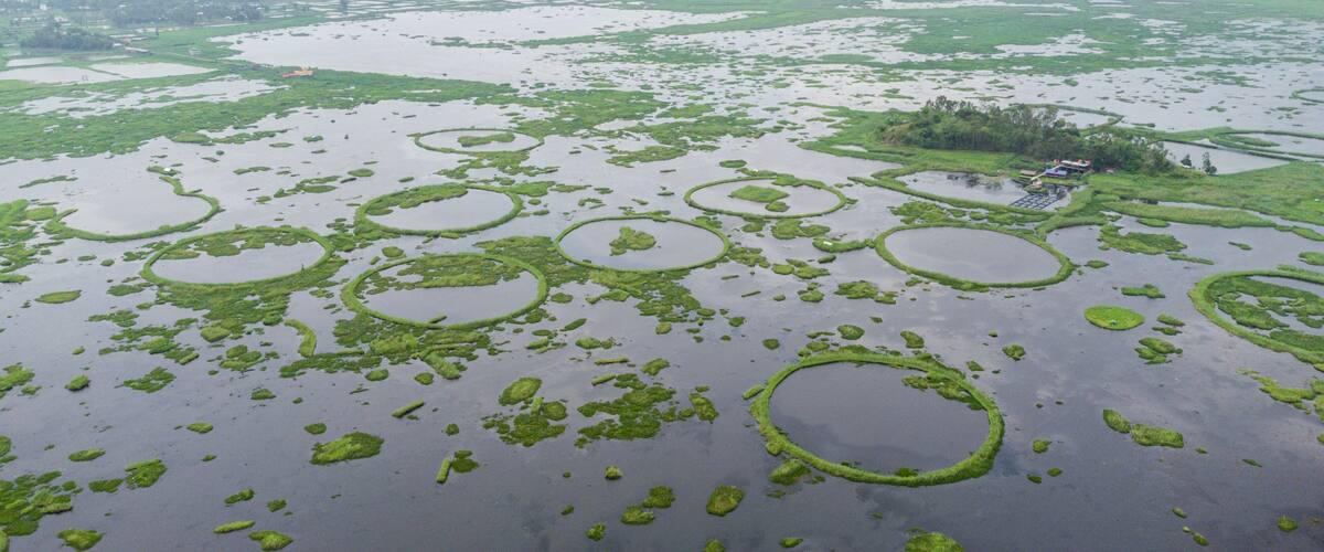 A vast wetland with numerous circular ponds surrounded by green vegetation.