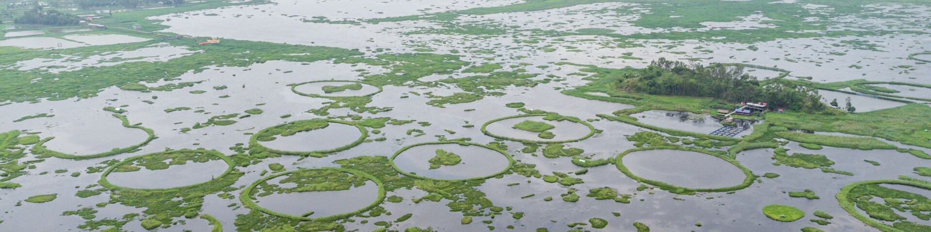 A vast wetland with numerous circular ponds surrounded by green vegetation.