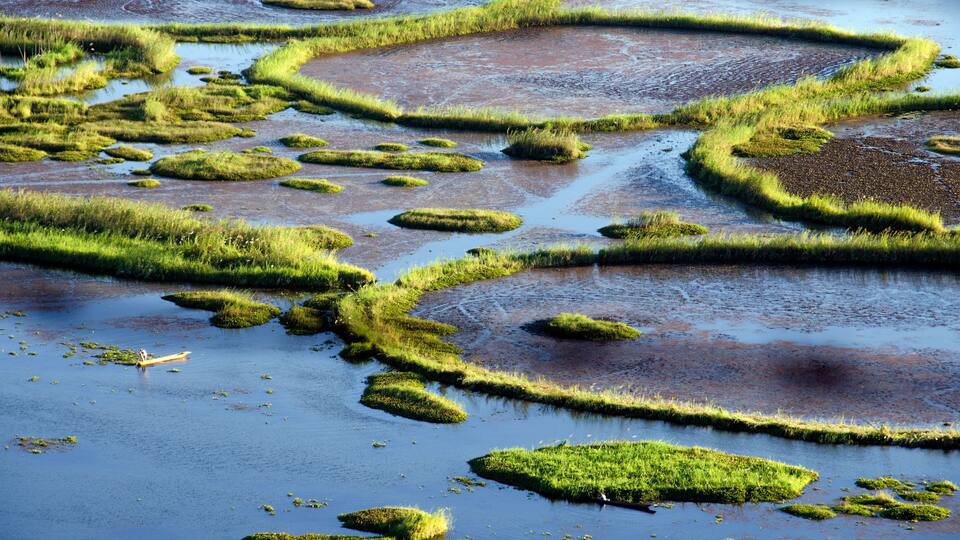 A wetland with patches of grass and water.