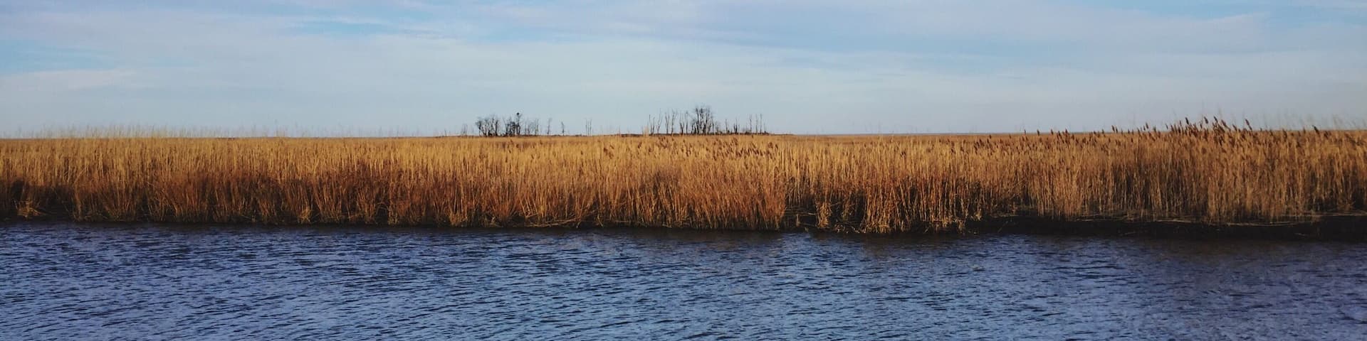 Great spot for birdwatching.